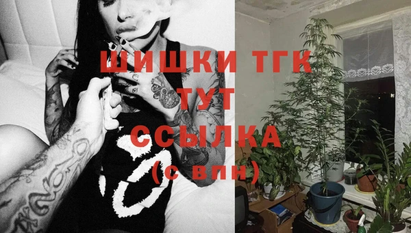 ГАЛЛЮЦИНОГЕННЫЕ ГРИБЫ Балабаново
