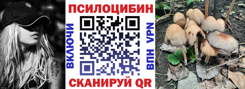 купить наркотик  hydra зеркало  Псилоцибиновые грибы Cubensis  Ревда 